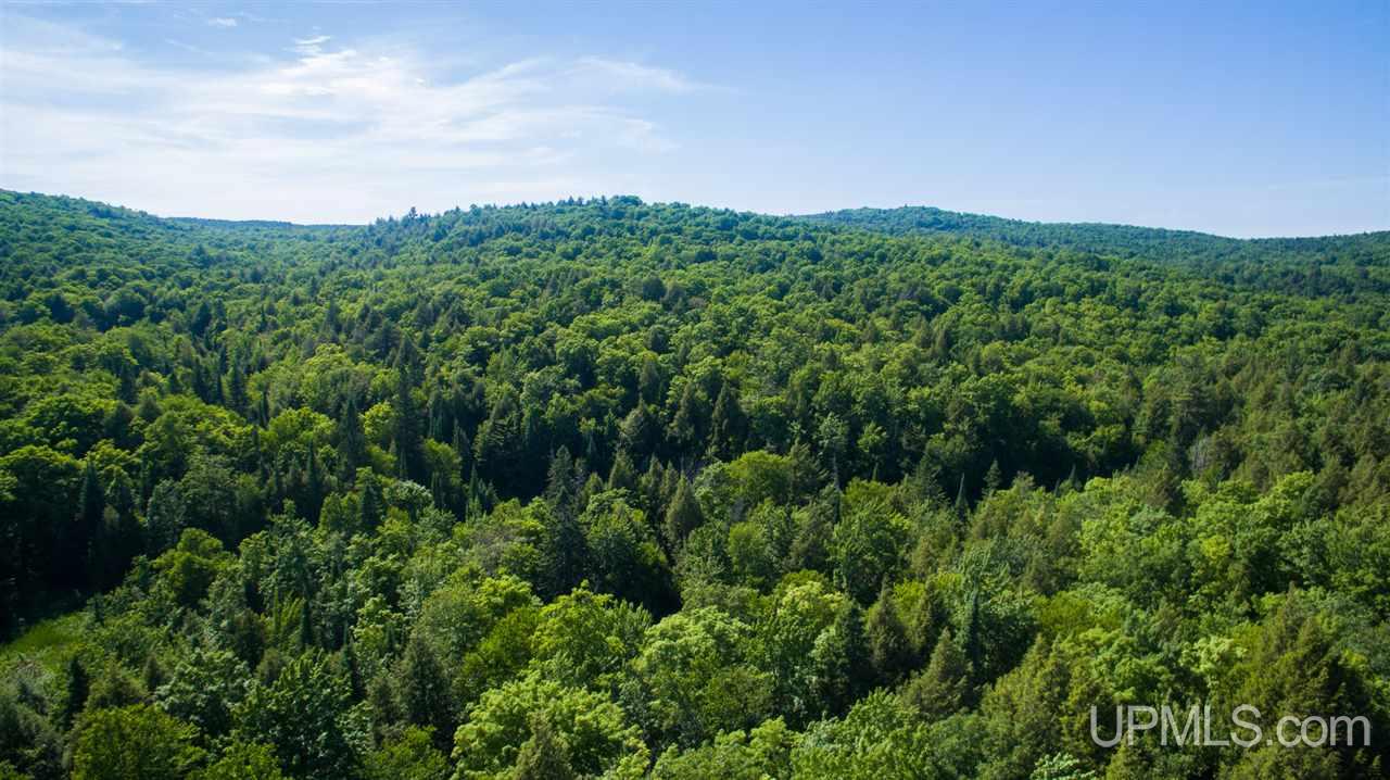 N2025 Co Road Marquette, MI 49855 - Photo 19 of 48