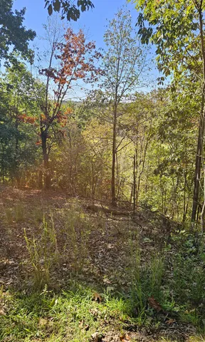 $45,000 | 0 Big Richland Drive, Waverly, TN 37185