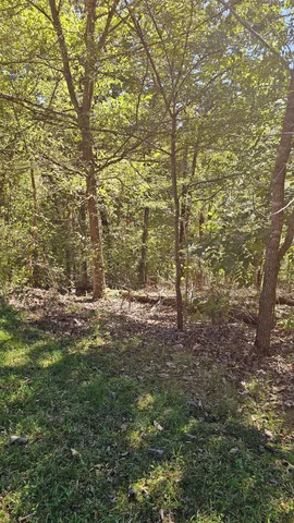 $45,000 | 0 Big Richland Drive, Waverly, TN 37185