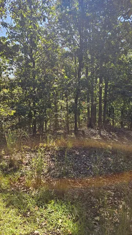 $45,000 | 0 Big Richland Drive, Waverly, TN 37185