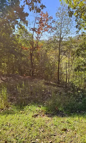 $45,000 | 0 Big Richland Drive, Waverly, TN 37185