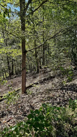 $45,000 | 0 Big Richland Drive, Waverly, TN 37185