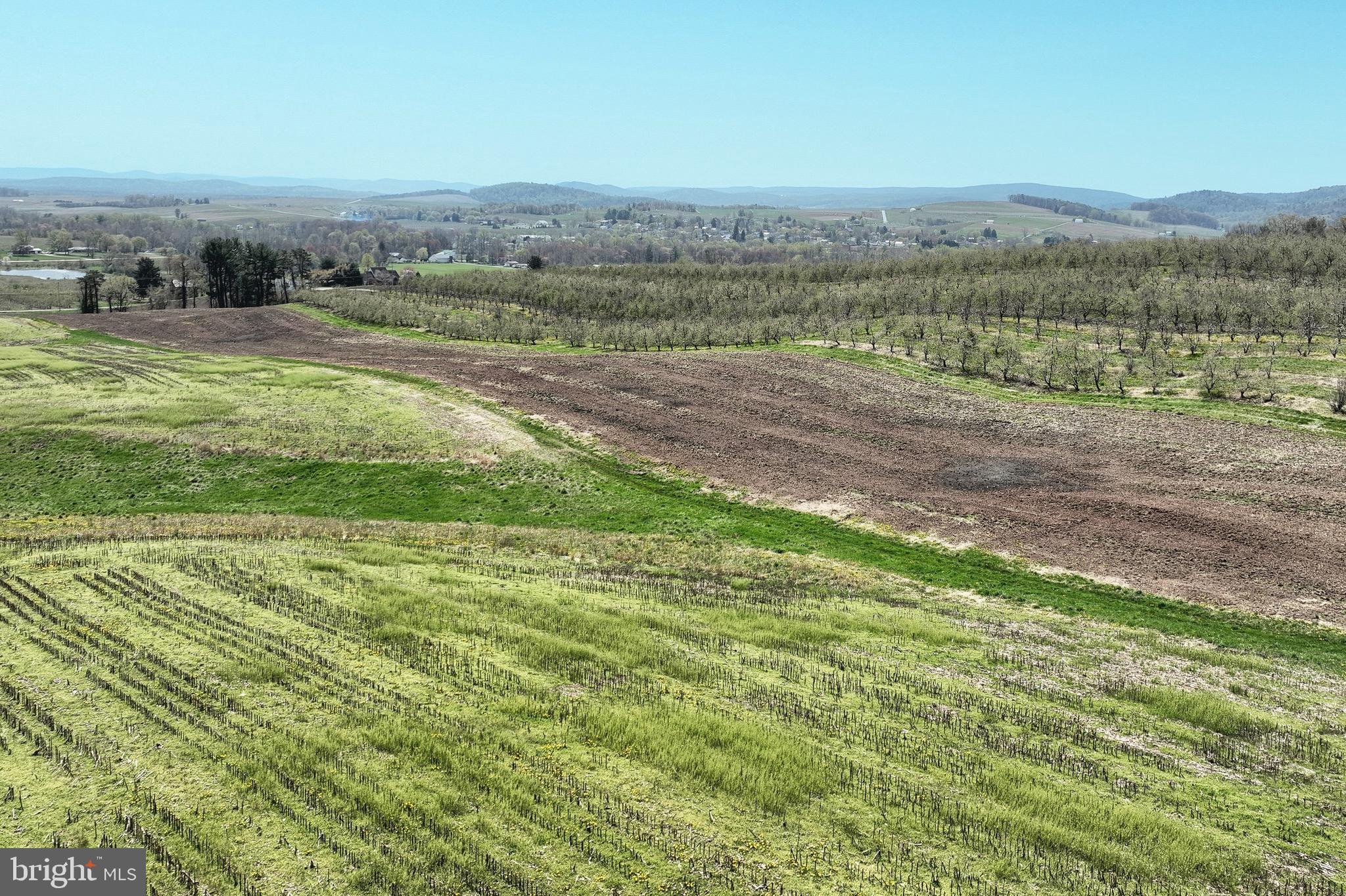 0 Heckenluber Road Biglerville, PA 17307 - Photo 11 of 21 a view of an outdoor space and a yard