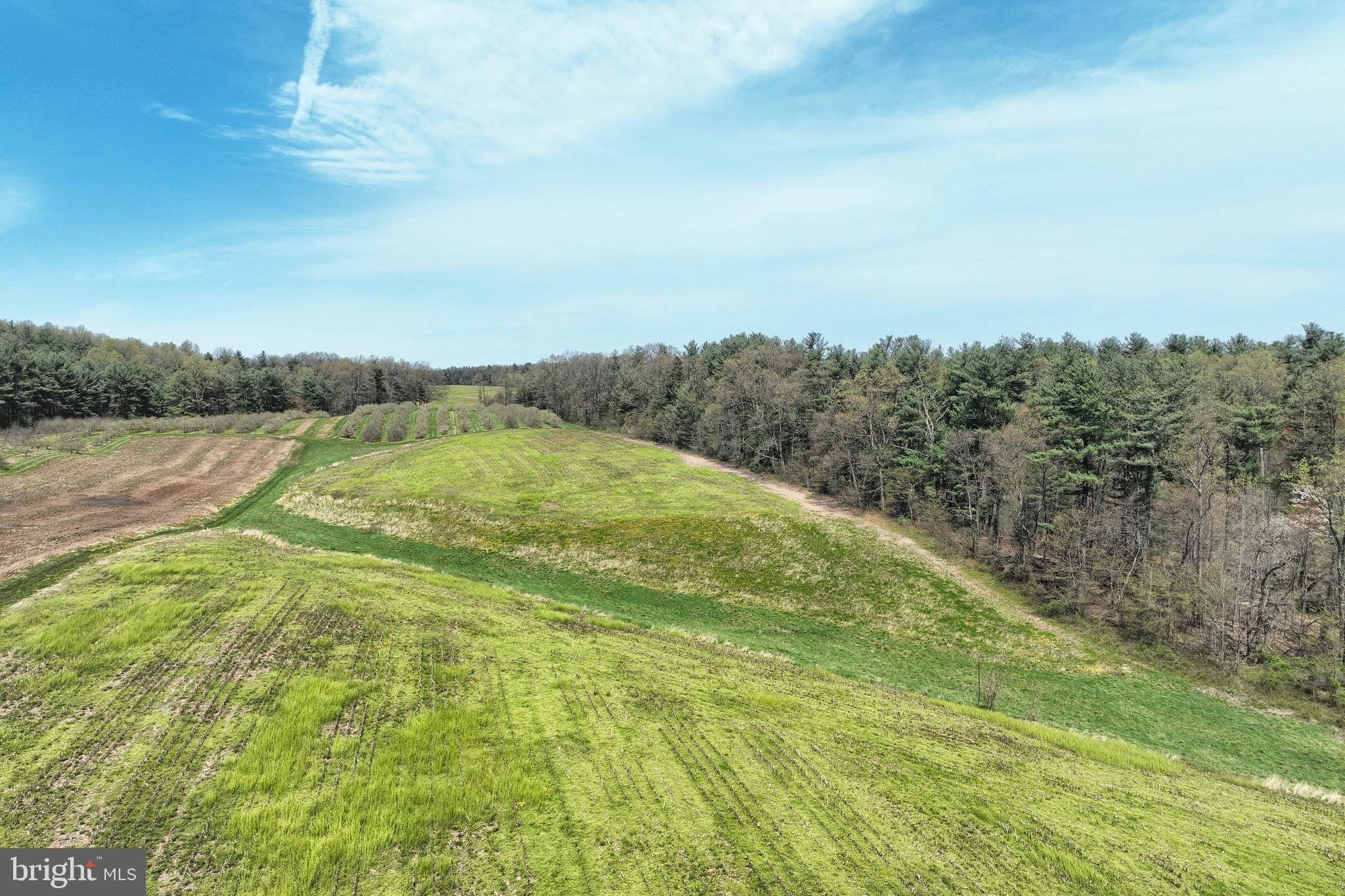 0 Heckenluber Road Biglerville, PA 17307 - Photo 12 of 21 a view of an outdoor space and a yard
