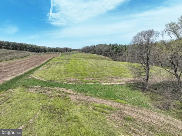 a view of a field with an ocean beach