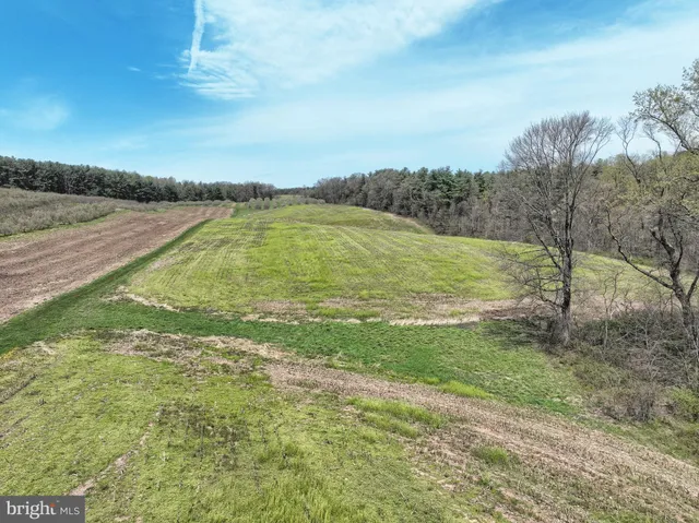 a view of a field with an ocean beach