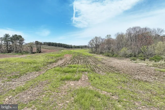 a view of a field with an ocean and trees