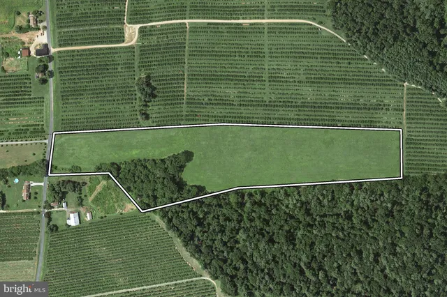 a view of a tennis court