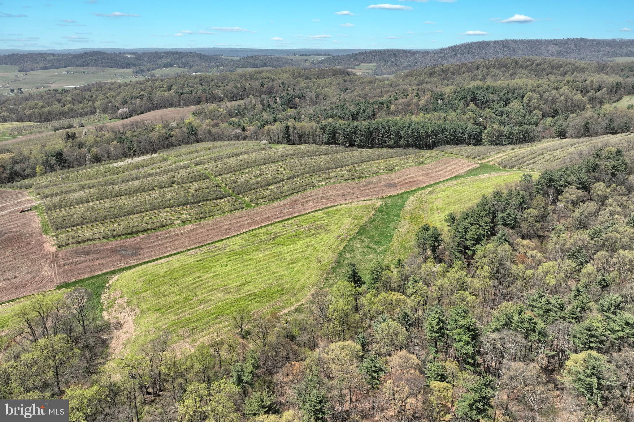 0 Heckenluber Road Biglerville, PA 17307 - Photo 8 of 21 a view of a field with an ocean beach