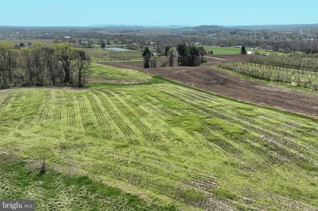 a view of an outdoor space and a yard