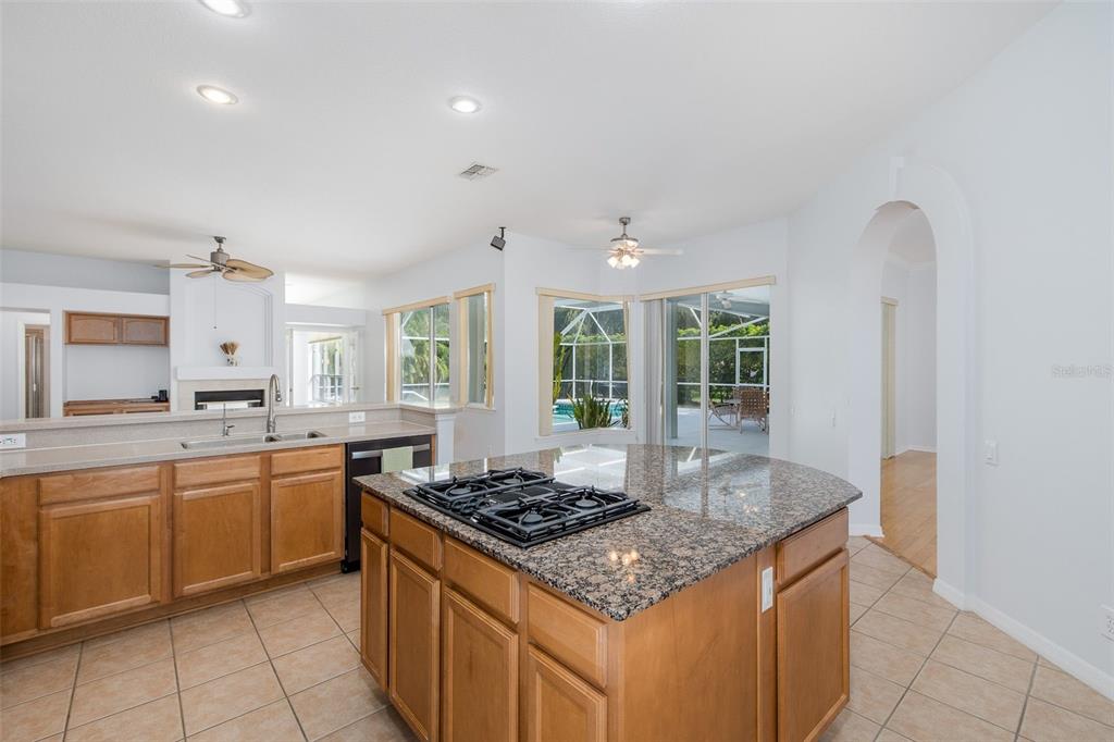 2151 Edelweiss Loop Trinity, FL 34655 - Photo 17 of 78