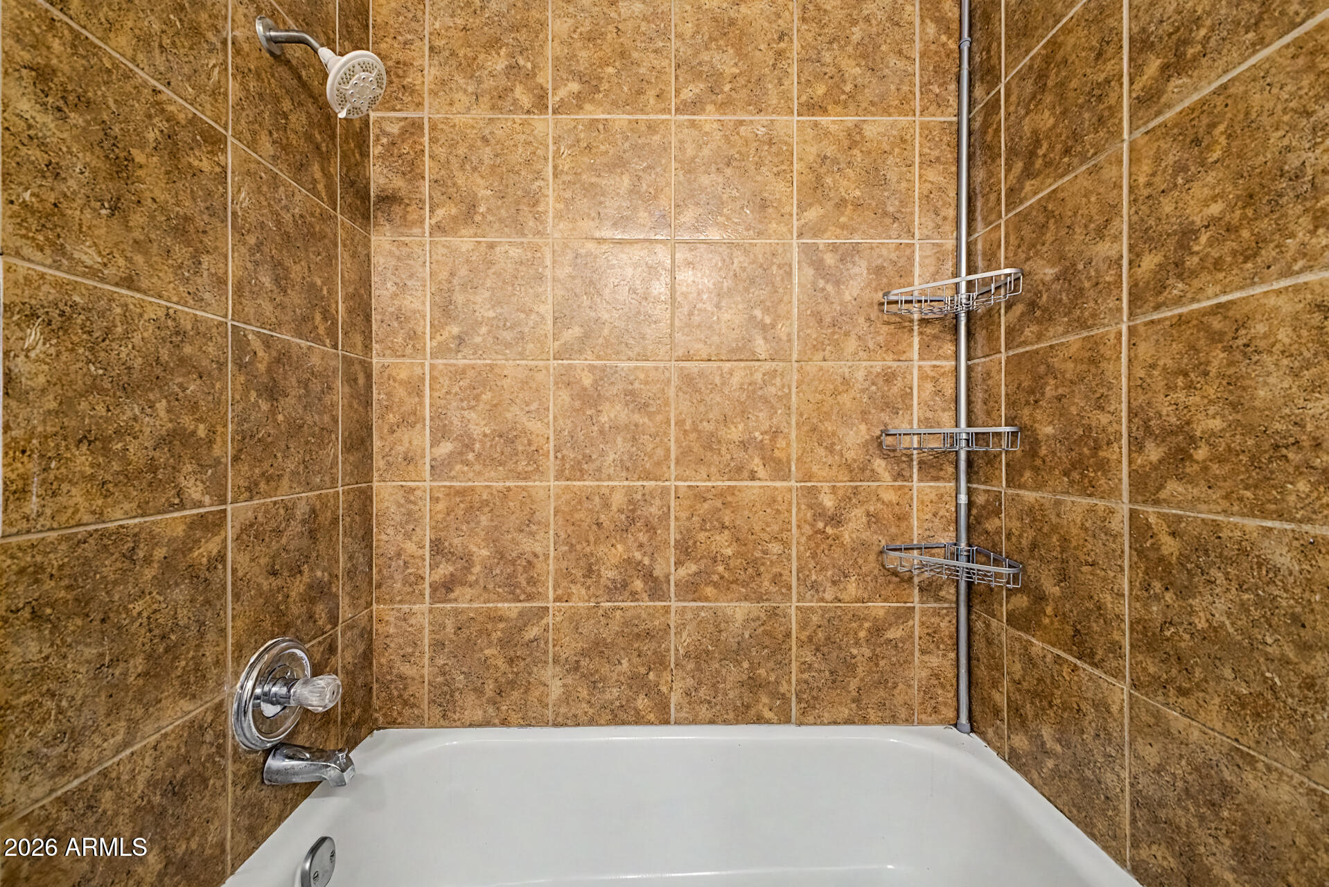 424 West Brown Road, Unit 207 Mesa, AZ 85201 - Photo 23 of 25 Main bath