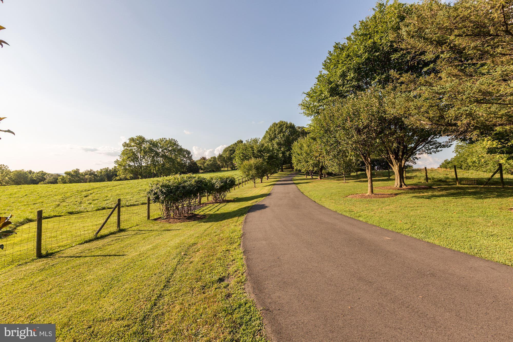 9406 Maidstone Road Delaplane, VA 20144 - Photo 4 of 86 Picturesque Driveway