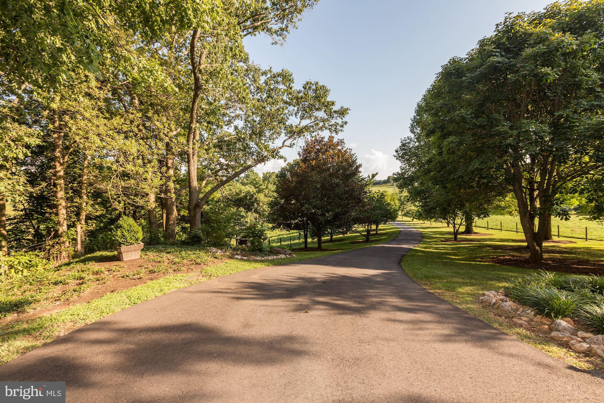 9406 Maidstone Road Delaplane, VA 20144 - Photo 5 of 86 Picturesque Driveway