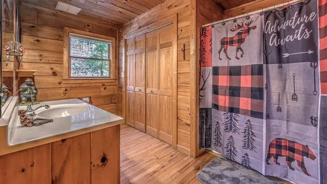 a bathroom with a sink and a shower