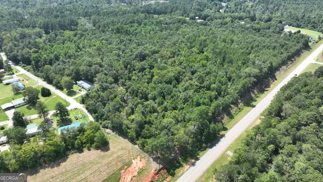 a view of a garden with a tree
