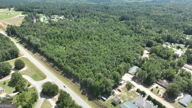 a view of a yard with plants