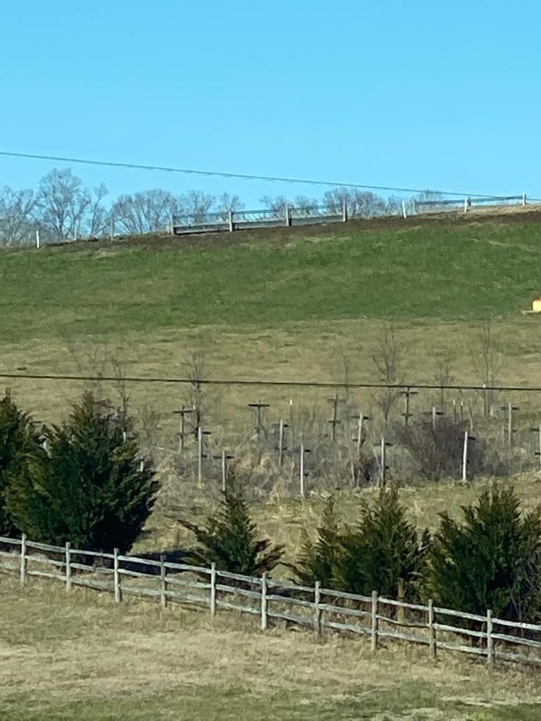 0 Rays Gap Road Seymour, TN 37865 - Photo 3 of 3 Gallery Image 3