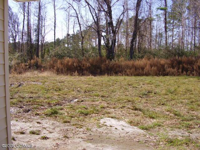 5501 County Line Road New Bern, NC 28562 - Photo 9 of 11 back yard