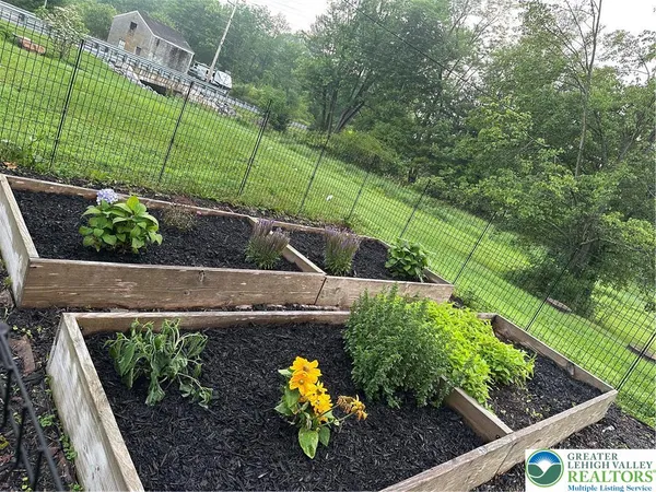 a view of a garden with plants