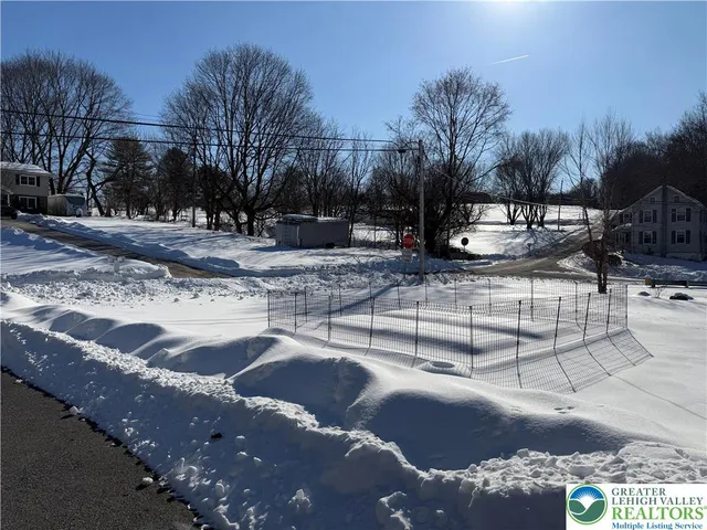 a view of a yard with large trees