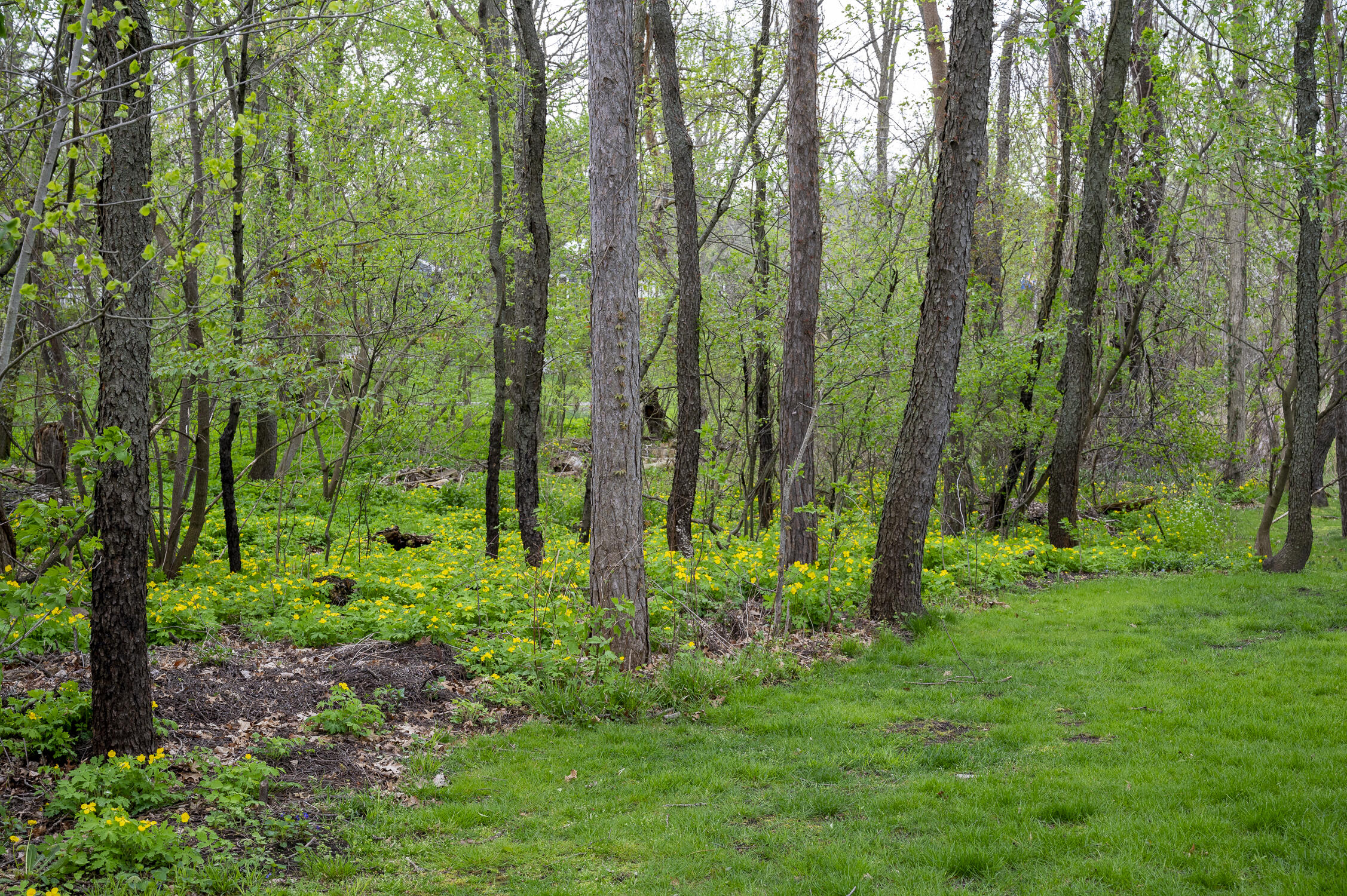 1316 Grebe Road Highland, MI 48357 - Photo 24 of 28 1316 Grebe Rd Highland 2032