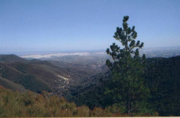 0 Duncan Creek Road Igo, CA 96047 - Photo 1 of 4 Property View