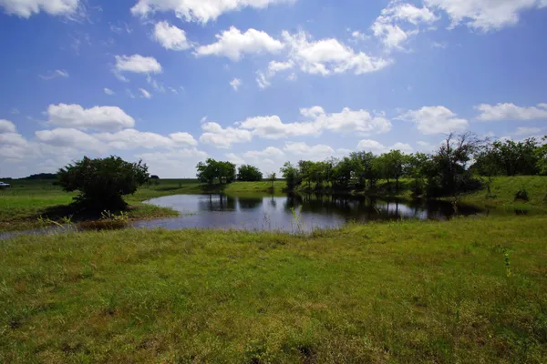 a view of lake with houses