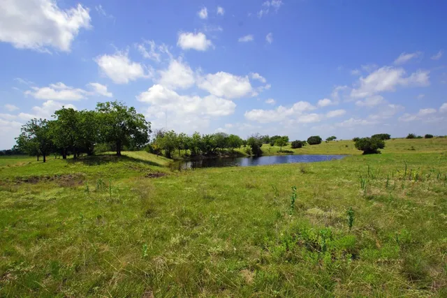 a view of a field with an trees in the background