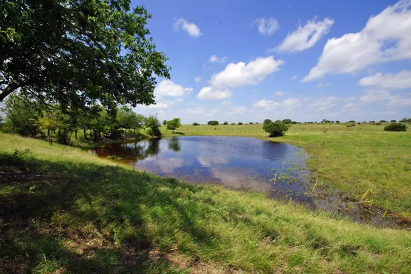 a view of yard and ocean