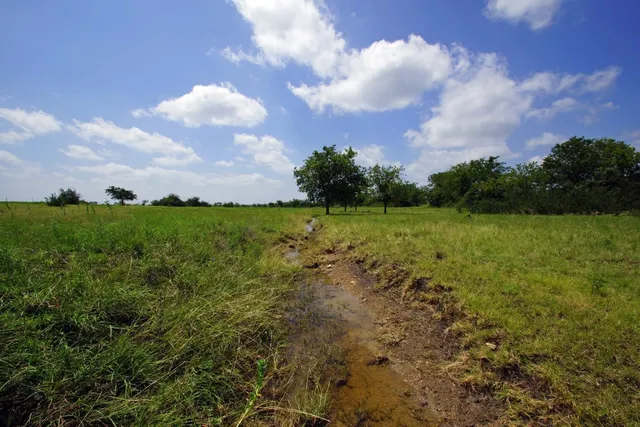 a view of yard and ocean