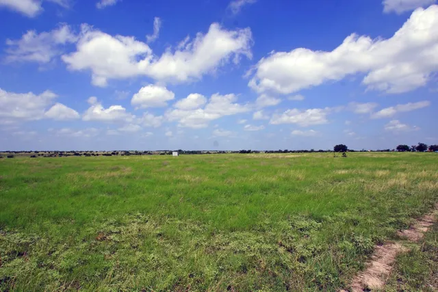 a view of a field of grass and trees