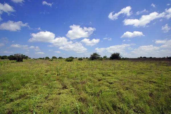 a view of an outdoor space and yard