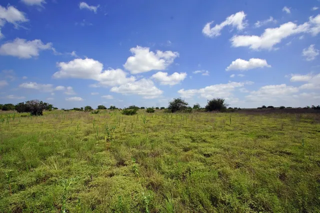 a view of a lake from a yard