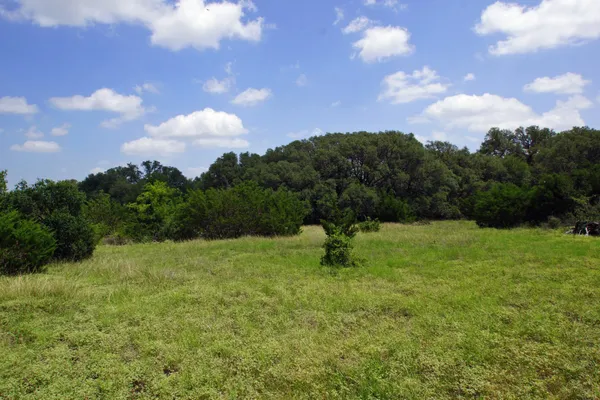a view of a green field with wooden fence