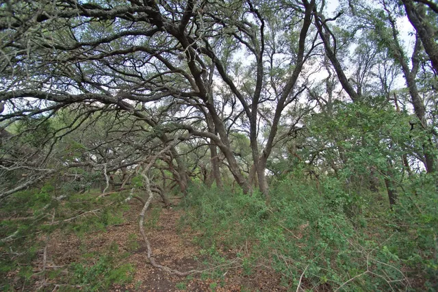 a view of a green field with wooden fence
