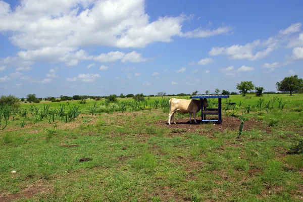 a view of a lake and sunset