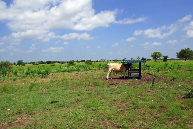 a view of a lake and sunset