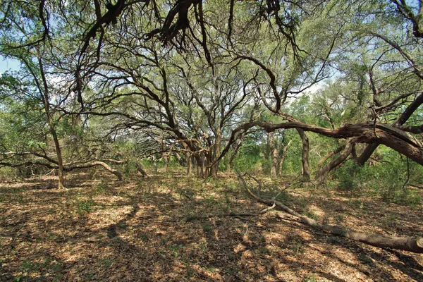 a view of a lake with a big yard