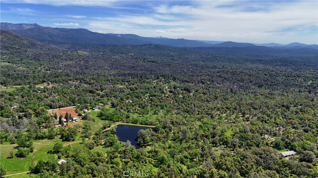 4632 Triangle Road Mariposa, CA 95338 - Photo 6 of 26 a view of a lush green forest with mountains in the background