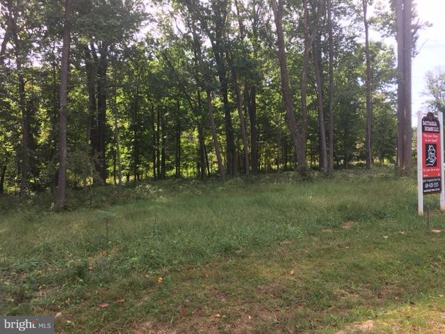 11901 Ridgemont Road Lutherville-Timonium, MD 21093 - Photo 1 of 4 a view of outdoor space with trees all around