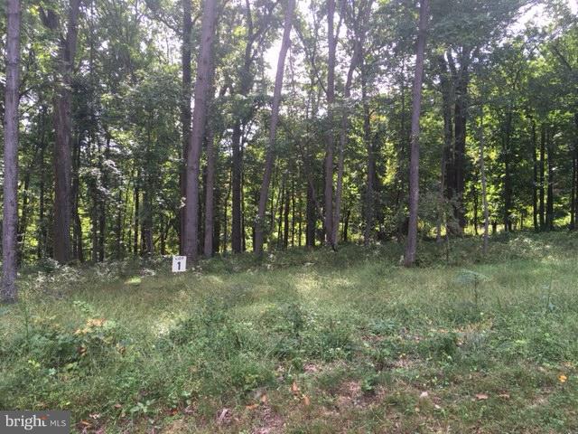 11901 Ridgemont Road Lutherville-Timonium, MD 21093 - Photo 3 of 4 a view of a forest with trees in the background