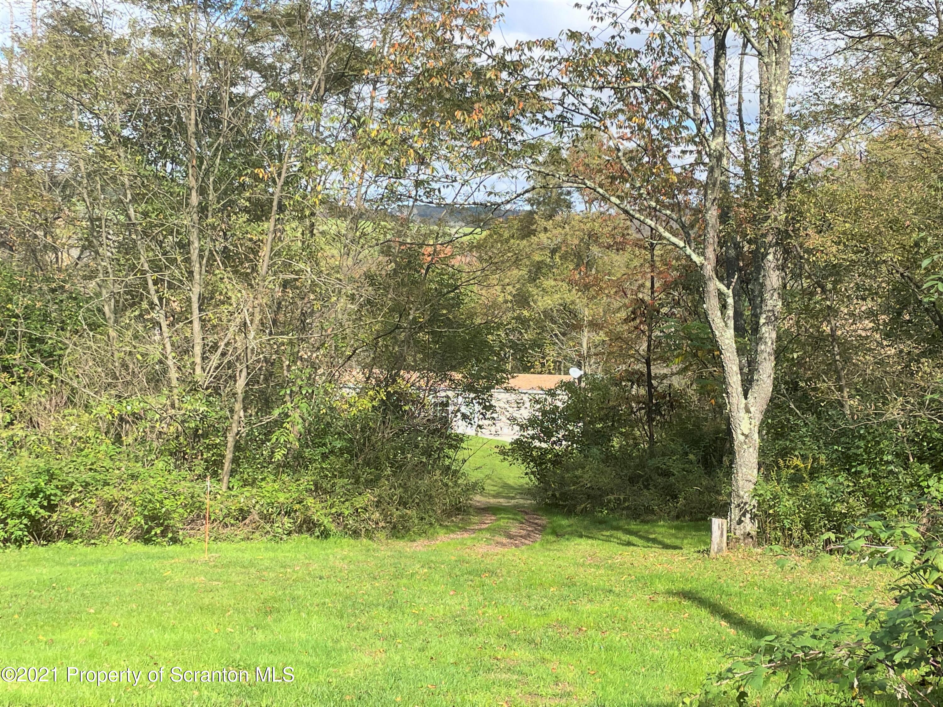 705-771 Hunter Road Springville, PA 18844 - Photo 11 of 62 a view of a yard with an trees
