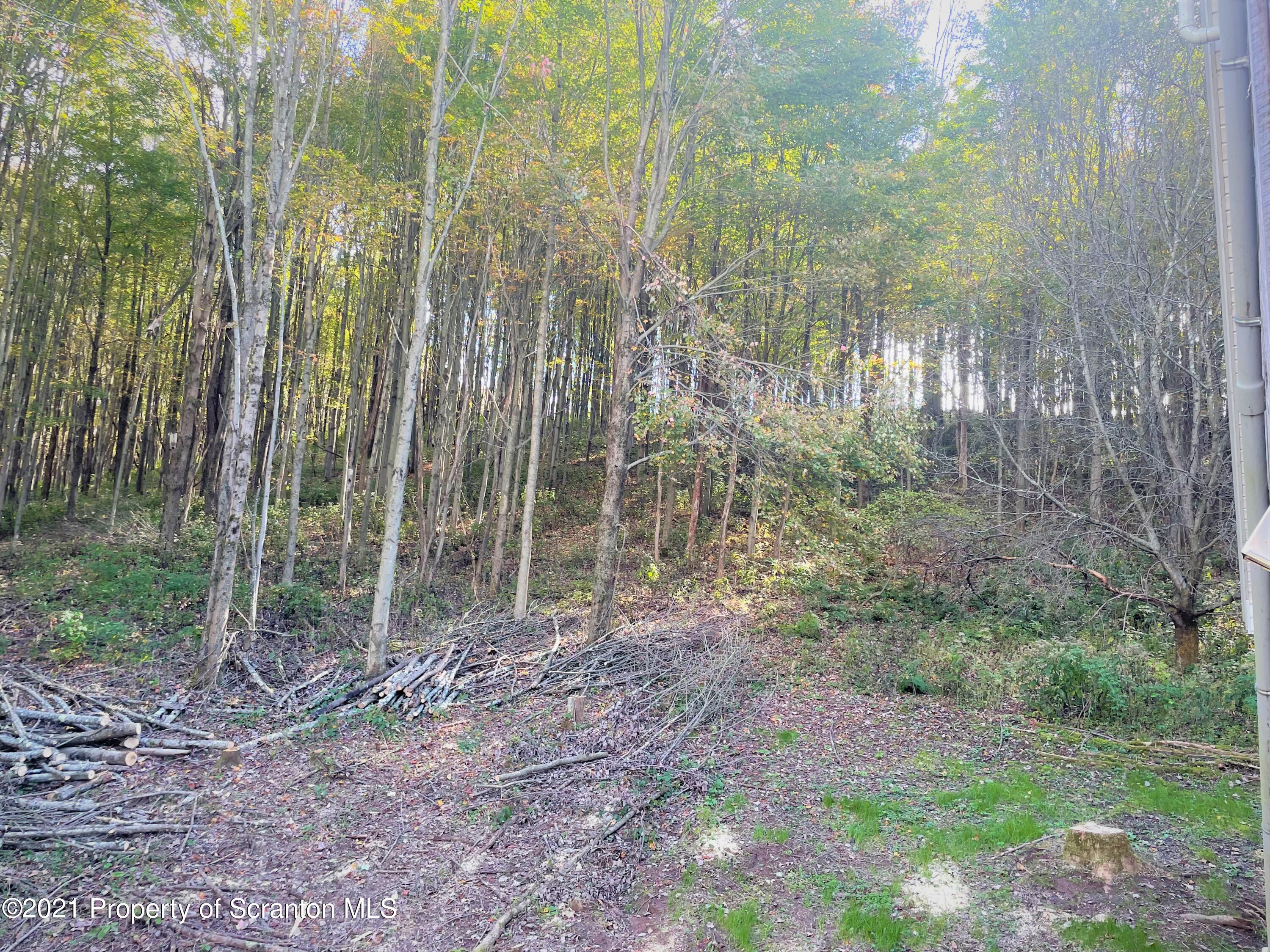 705-771 Hunter Road Springville, PA 18844 - Photo 14 of 62