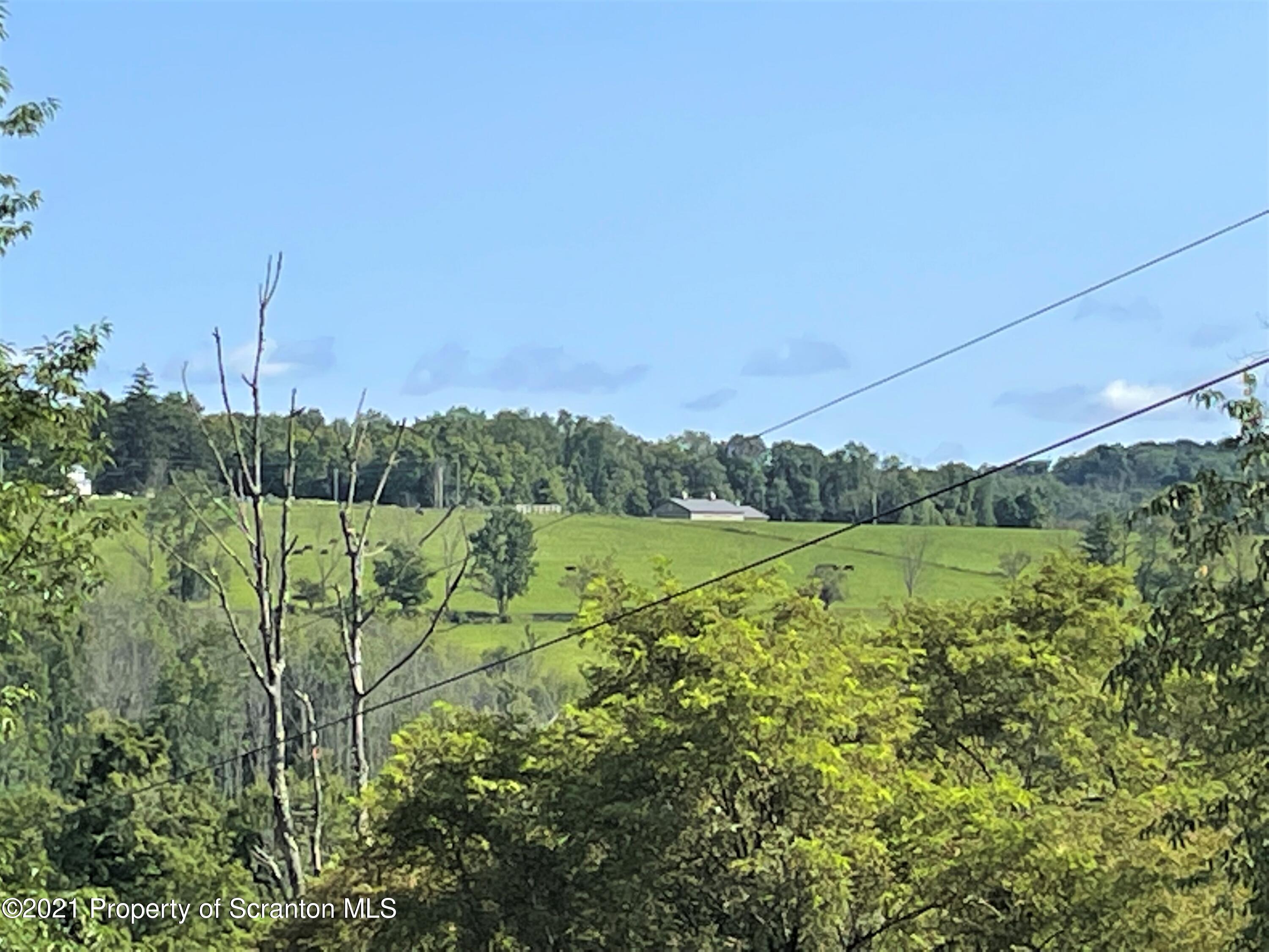 705-771 Hunter Road Springville, PA 18844 - Photo 20 of 62 a view of a lake with a big yard