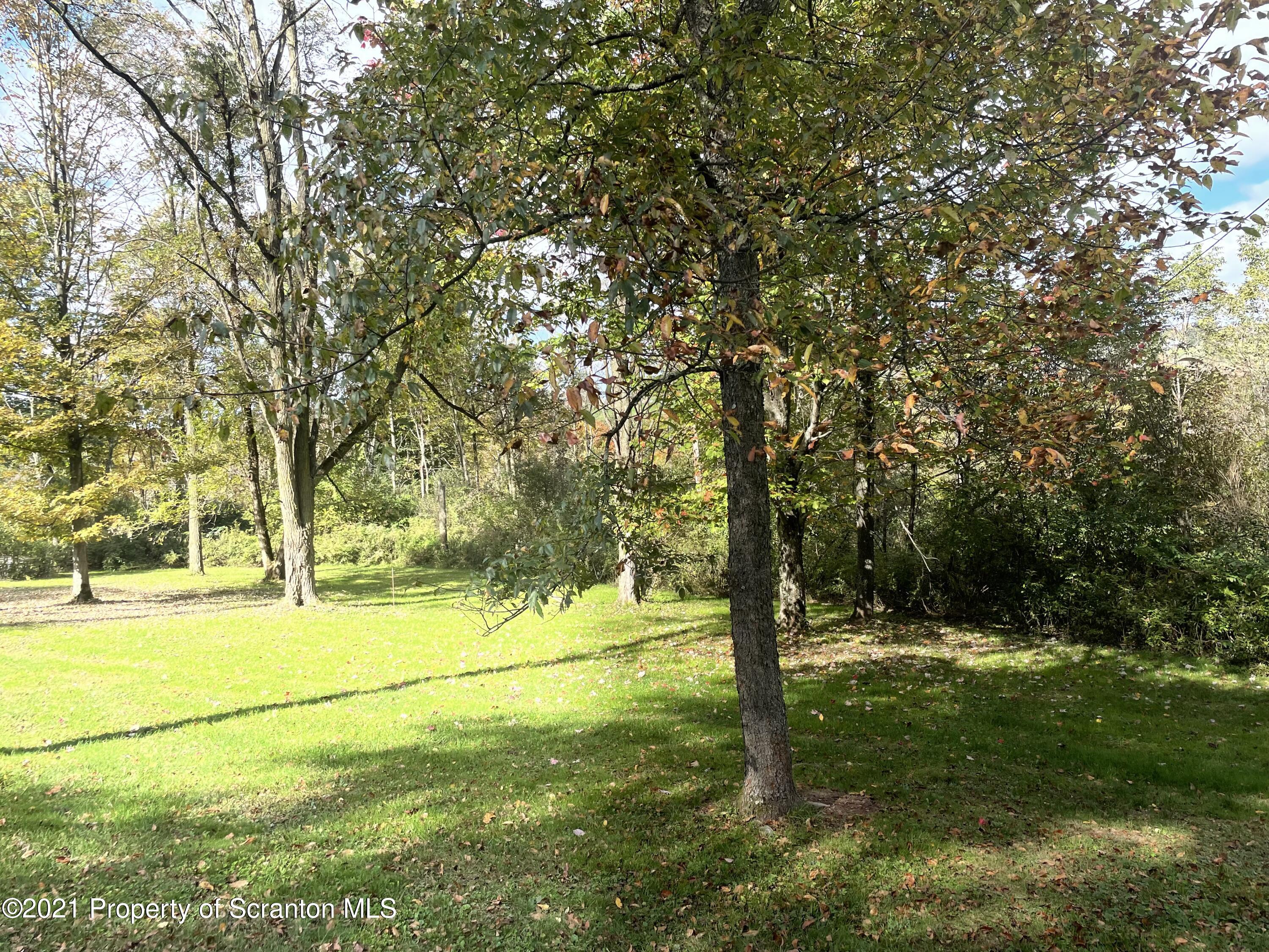 705-771 Hunter Road Springville, PA 18844 - Photo 9 of 62 a view of field with trees