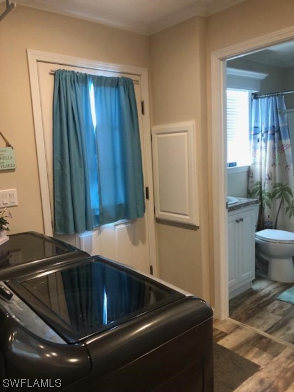 11621 Bubble Shell Drive Fort Myers, FL 33908 - Photo 19 of 20