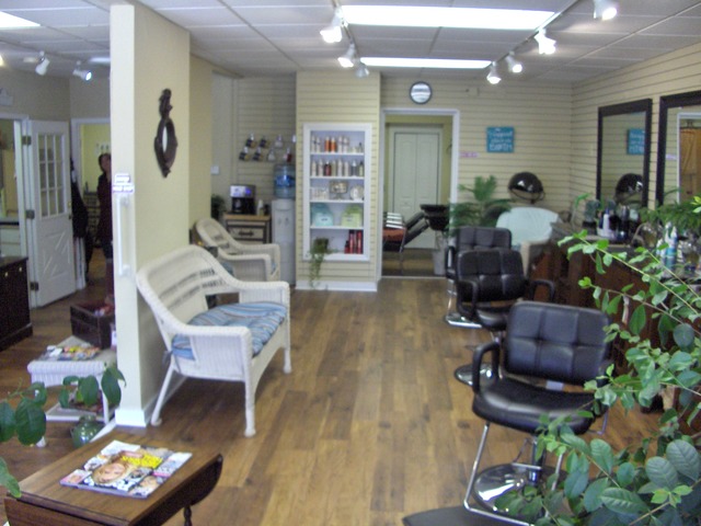 125 North Main Street Wheaton, IL 60187 - Photo 5 of 6 a living room with furniture and a potted plant