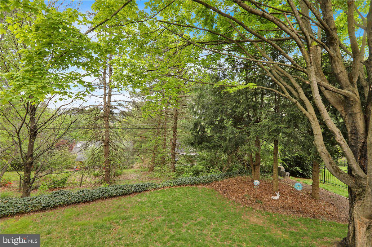 112 Grandview Boulevard Wyomissing, PA 19609 - Photo 11 of 69 a view of a yard with a tree