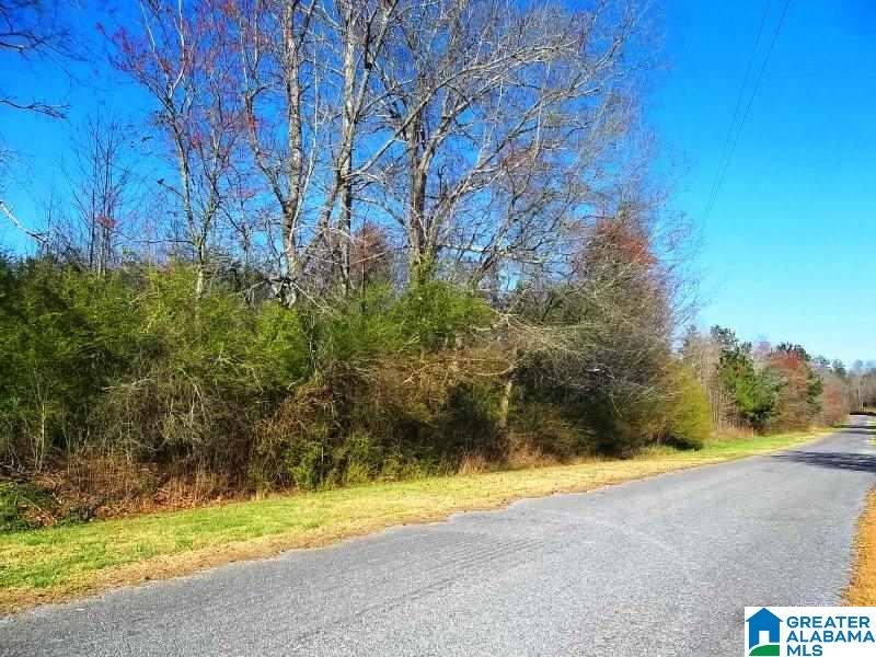 Big Springs Road, Unit 28 Ashland, AL 36251 - Photo 2 of 8
